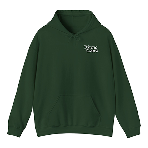 Exotic Cropz Pocket Logo Hoodie