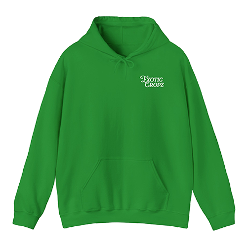 Exotic Cropz Pocket Logo Hoodie
